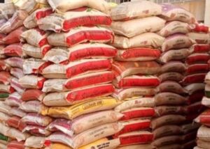 Importation of rice killing us, Nigerian growers sound alarm