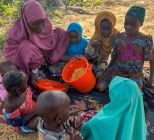 WFP raises alarm as 17 million northern Nigerian citizens face hunger