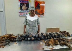 NDLEA nabs 67-year-old grandmother with 13kg cocaine