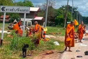 11-year-old boy steal’s his parents’ truck kills 8 monks with it in freak accident
